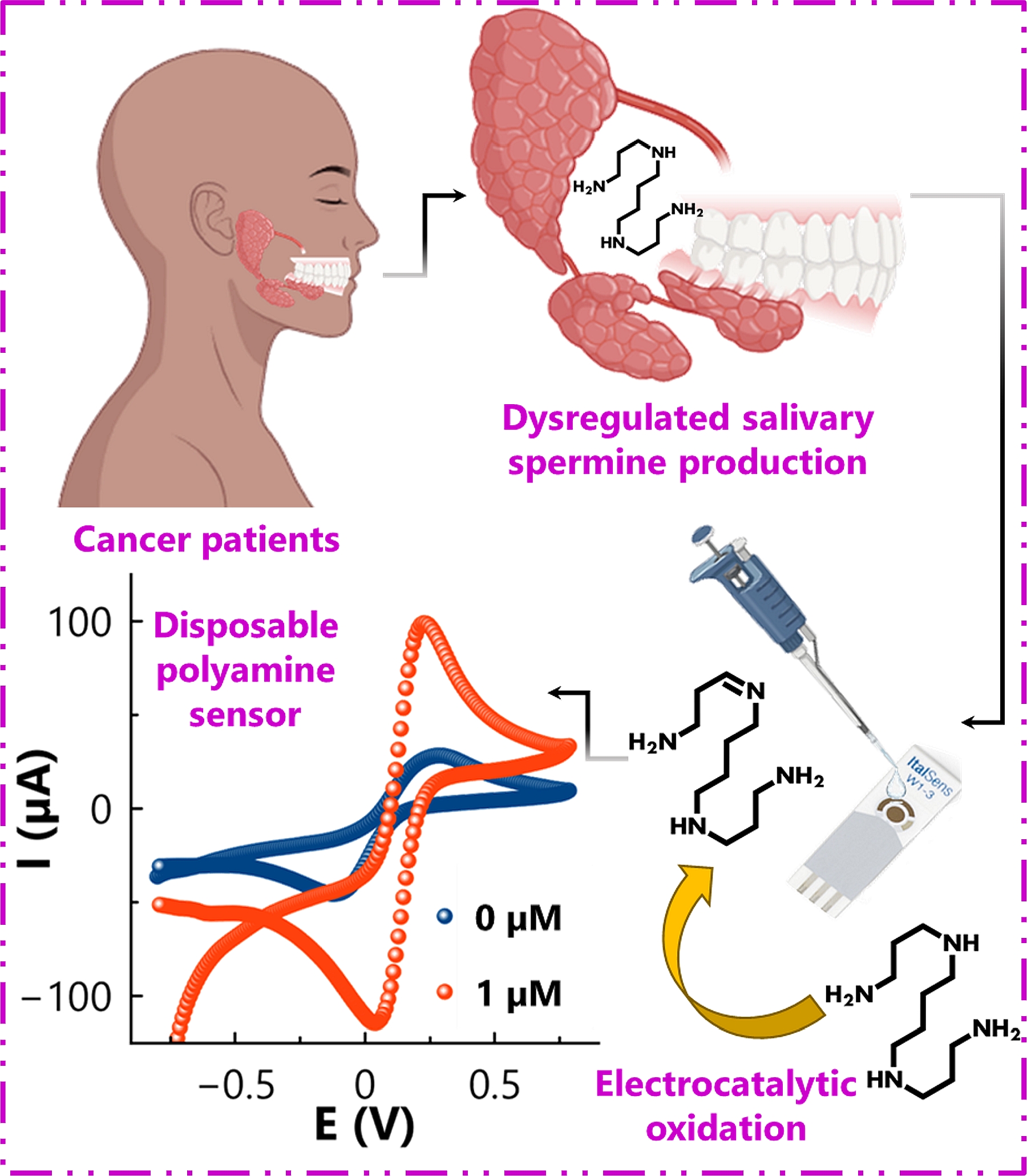 Graphical abstract