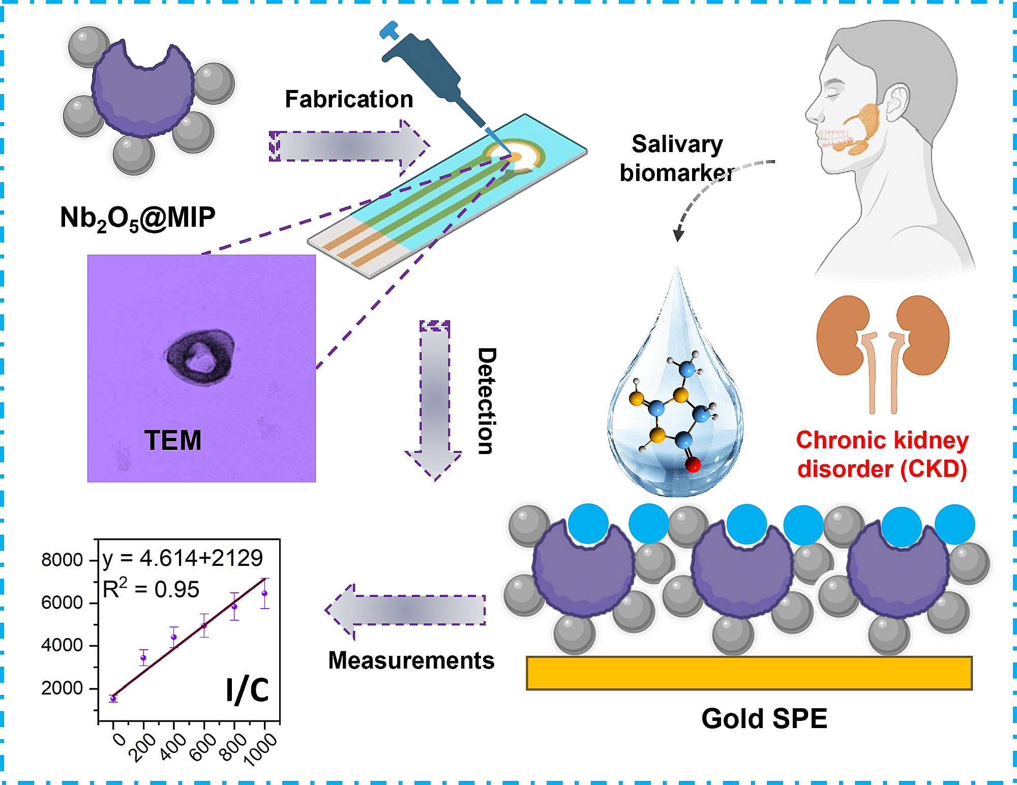 Graphical abstract