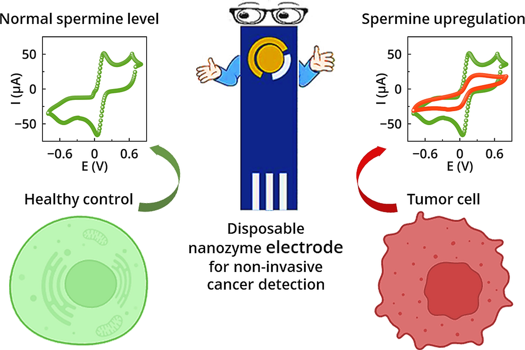 Graphical abstract
