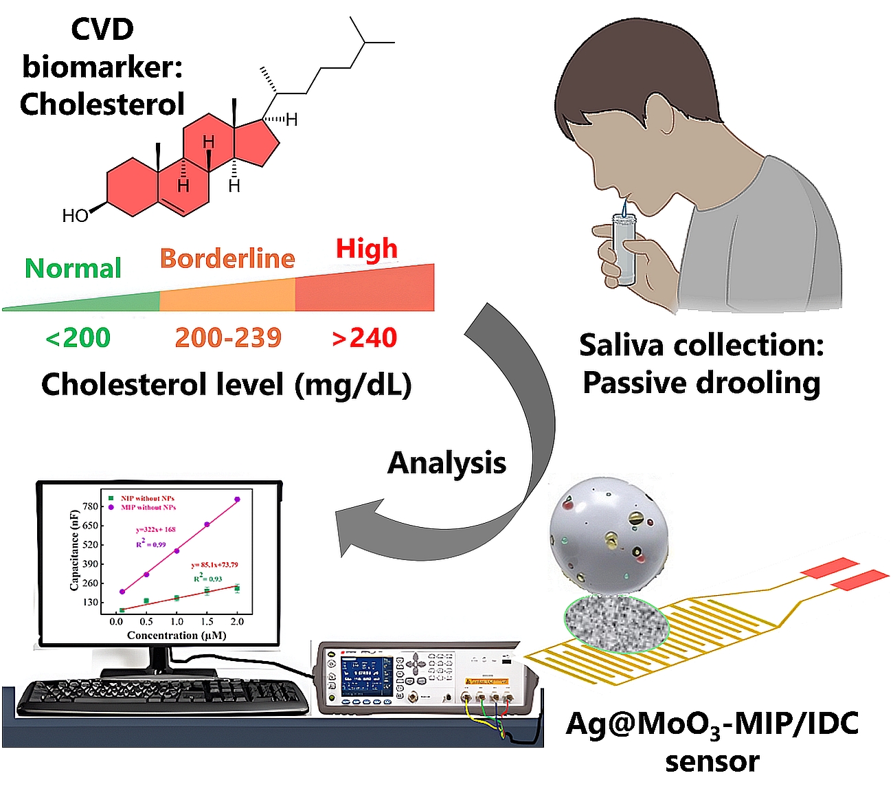 Graphical abstract